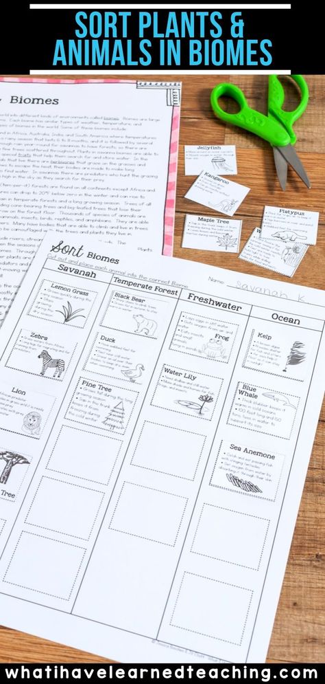 Habitats Grade 4, Biome Activities For Kids, Biome Activities, Bfsu Science, Biomes Activities, Ecosystem Activities, Life Science Activities, Colored Table, Ngss Science