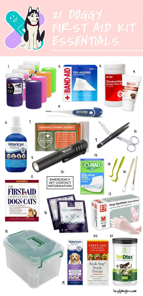 Animal First Aid Kit, Pet First Aid Kit Checklist, Cat First Aid Kit, Dog Starter Kit, Pet First Aid Kit Diy, Dog Emergency Kit, Dog Essentials For Car, Dog First Aid Kit Diy, First Aid Kit For Dogs