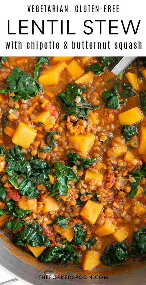 Lentils Butternut Squash, Butternut Squash Lentil Soup, Stew With Butternut Squash, Lentil Stew Recipes, Grains Recipes, Veggie Meal, Chopped Veggies, Veggie Casserole, Chipotle Peppers