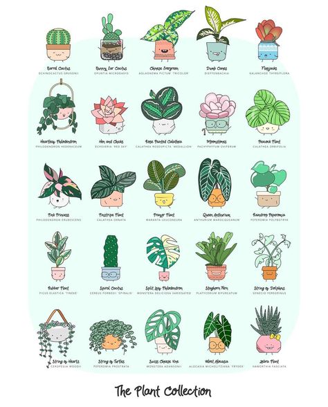 Jackie Tsang / Home by faith on Instagram: “📢 Time for a poster sale! All posters are 20% off + Free shipping with tracking. . . . Check them out on homebyfaith.ca 💚 . . .  Sorry…” Common House Plants, Types Of Houseplants, Plant App, Plant Doodle, Plant Poster, Calathea Plant, Plant Journal, Plant Cuttings, Room With Plants