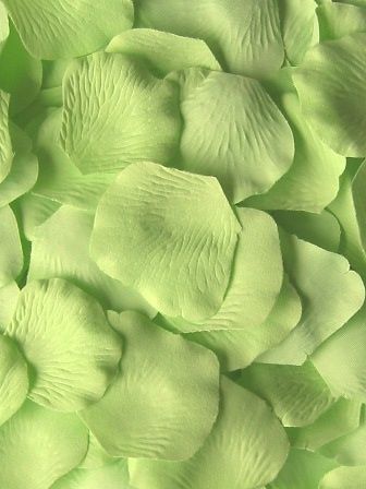 Green Green Green! Light Green Aesthetic, Honeydew Green, Mint Aesthetic, Mint Green Aesthetic, Celery Green, Green Theme, Bean Paste, Aesthetic Colors, Green Flower