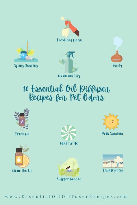 Essential oil diffuser recipes for pet odors. This pin shows small graphics representing each of the following diffuser blends: Fresh and Clean, Spring Cleaning, Clean and Tidy, Purify, Fresh Air, Mint for Me, Hello Sunshine, Clear the Air, Summer Breeze, Laundry Day. Essential oil diffuser recipes dot com. Click the link for the full recipe for each diffuser blend. Diffuser Blends For Dog Smell, Essential Oil Odor Eliminator Diffuser, Cat Safe Diffuser Blends, Essential Oils For Pet Odor, Pet Odor Diffuser Blend, Cat Friendly Diffuser Blends, Dog Friendly Essential Oil Blends, Dog Friendly Diffuser Blends, Pet Friendly Diffuser Blends