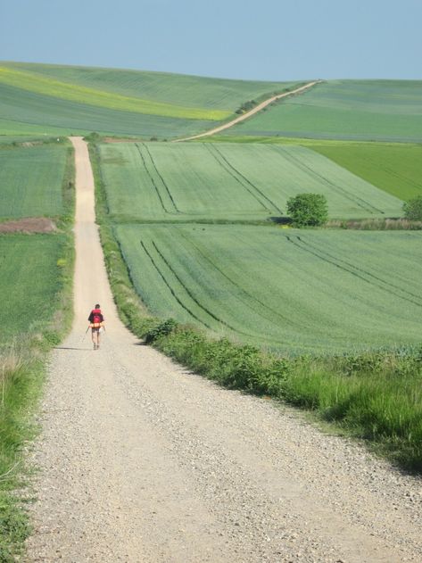 Hiking In Europe, Camino Trail, Elysian Fields, Hiking Photography, Green Field, The Camino, Dirt Road, Day Hike, Dieselpunk