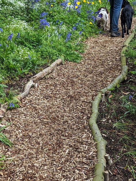 Garden Walking Path, Hillside Stairs, Wooded Backyard Landscape, Rustic Garden Fence, Outdoor Improvements, Backyard Walkway, Walking Path, Garden Design Layout, Forest Path