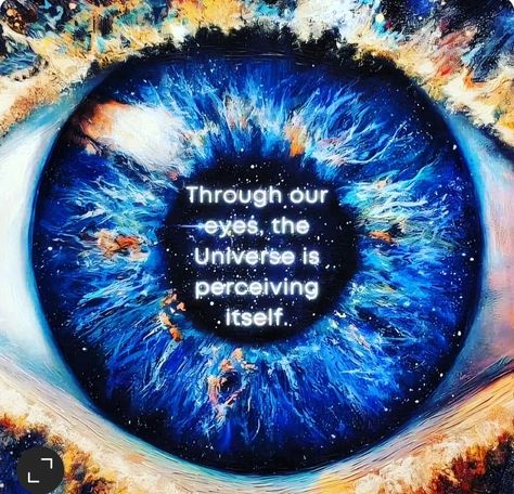 Through our eyes, the universe is perceiving itself #love #yees #spiritualjourney The Universe Experiencing Itself, Universe Experiencing Itself, Subconscious Mind Power, Child Of The Universe, Universe Love, Halloween Everyday, Spiritual Words, Mind Power, Word Of Advice