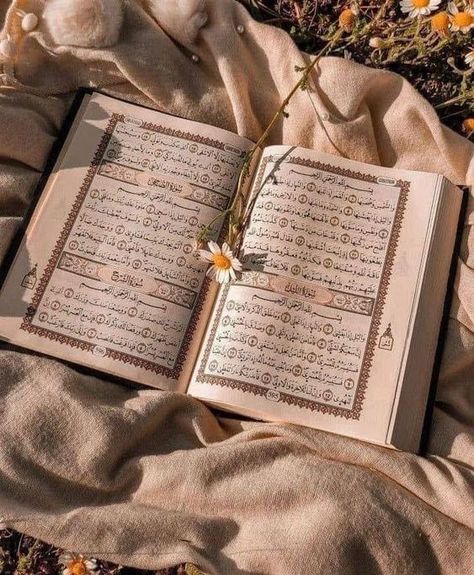 Foto Al Quran, Wallpaper Al-qur'an, Mekka Islam, Coran Quotes, Fesyen Islam, Al Qur'an Photography, Al Qur'an Aesthetic, Quran Wallpaper, Islamic Wallpaper Iphone