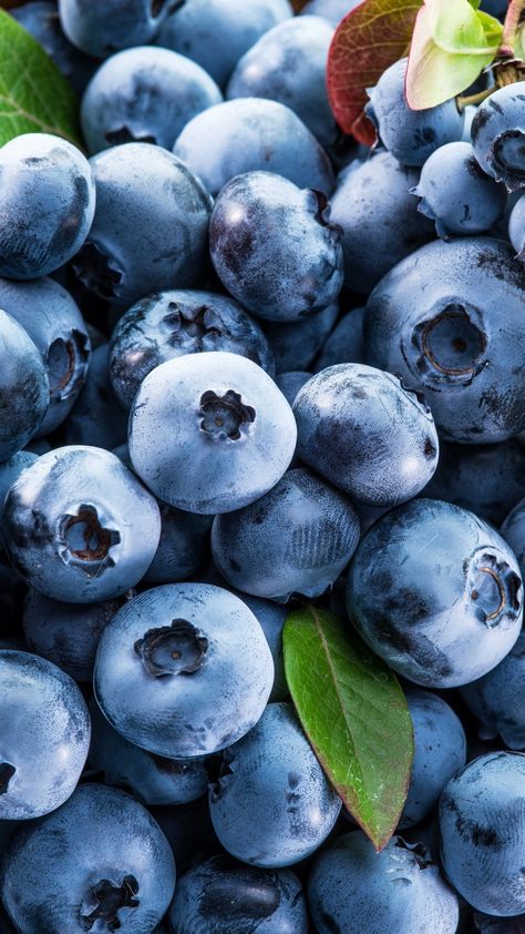 Blueberry Photography Food Styling, Blue Berries Aesthetic, Blueberry Pictures, Blueberry Lavender Lemonade, Blueberry Video, Blueberries Aesthetic, Shuffles Wallpapers, Berries Aesthetic, Blueberry Aesthetic