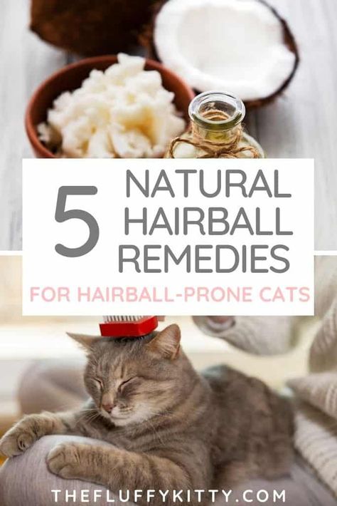 Is There A Natural Hairball Remedy for Cats? - Fluffy Kitty