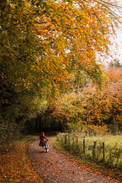 An Autumn Bike Ride - A Clothes Horse Fall Rustic Decor, Magical Autumn, Autumn Scenes, Autumn Scenery, Dirt Road, Fall Feels, Autumn Beauty, Farmhouse Fall, Cozy Vibes