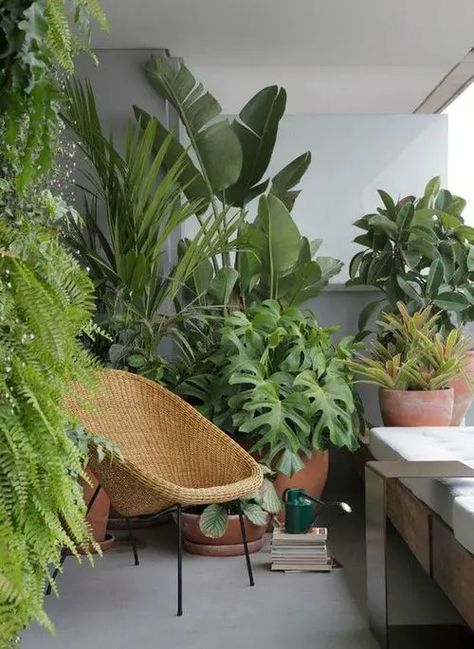 Create a Tropical Garden Oasis in a Balcony With These Ideas Apartment Balcony Garden, Small Balcony Garden, نباتات منزلية, Small Balcony Design, Balcony Plants, Small Balcony Decor, Plant Decor Indoor, Interior Plants, Apartment Balcony Decorating