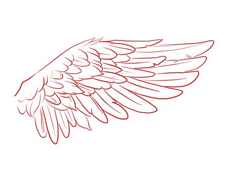 Red Wing Tattoo, Angel Wings Drawing Easy, Phoenix Outline, Angel Wings Tattoo Stencil, Angel Wing Outline, Wings Outline, Wing Outline, Wing Reference, Hawk Wings