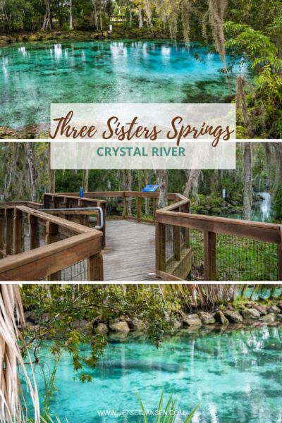 3 Sisters Springs Florida, Crystal River Manatees, Ichetucknee Springs Florida, Homosassa Springs Florida, Crystal River Florida Things To Do, Crystal Springs Florida, Three Sisters Springs Florida, Southern Getaways, Florida Birthday