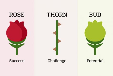 Rose, Thorn, Bud Activity #designthinking Rose Thorn Bud Activity, Rose Bud Thorn, Ice Breakers For Women, Work Team Building Activities, Work Team Building, Rose Plant Care, Wise Mind, Rose Thorns, Icebreaker Activities