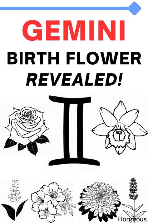 Gemini Birth Flower Gemini Birth Flower Tattoo, Gemini Flower Tattoo Birth Month, Gemini Tattoo With Flowers, Gemini Flower Tattoo, Gemini Birth Flower, June Magick, Gemini Flower, Lillies Tattoo, Gemini Symbol