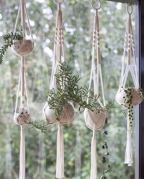 Macrame Plant Hanger Tutorial, Macrame Plant Hanger Patterns, Hanging Planters Indoor, Indoor Flower Pots, Diy Macrame Plant Hanger, Hanging Plant Holder, Hanging Plants Indoor, Diy Plant Hanger, Macrame Plant Holder