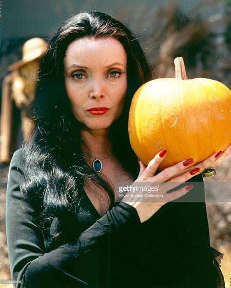 Actress Carolyn Jones poses for a portrait as Morticia Frump Addams in ' The Addams Family' in circa 1965. Description from gettyimages.com. I searched for this on bing.com/images Original Addams Family, The Addams Family Halloween, The Addams Family 1964, Charles Addams, Gomez And Morticia, Addams Family Costumes, Us Actress, Carolyn Jones, Elvira Mistress Of The Dark