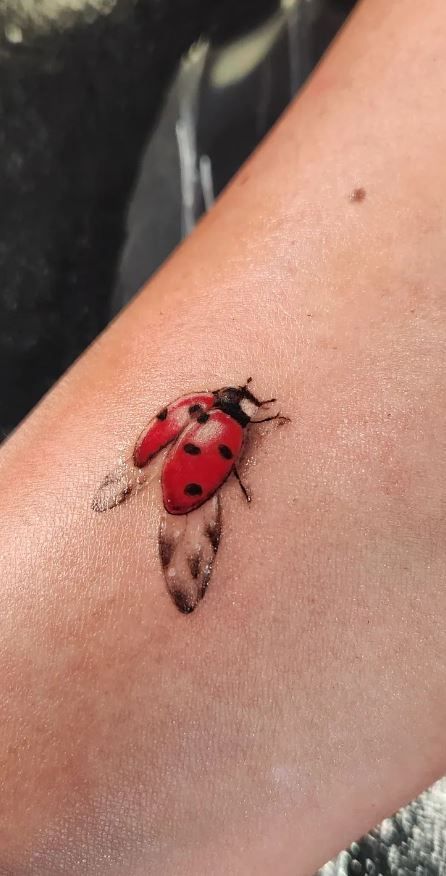 Tattoos Ladybug, Ladybird Tattoo, Tattoo Collage, Ladybug Tattoos, Ladybug Tattoo, Flying Tattoo, Lady Bug Tattoo, Bug Tattoo, Insect Tattoo