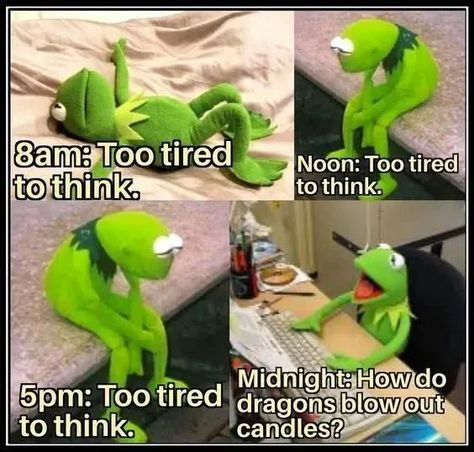 Kermit Funny, Sleep Late, Funny Disney Jokes, Relatable Post Funny, Very Funny Pictures, Extremely Funny Jokes, Real Funny Jokes, Some Funny Jokes, Really Funny Joke