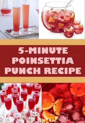 Save up on money for a party by making this easy 5-minute Poinsettia Punch. Your guests will never know how you made such a delicious drink for a cheap price. Poinsettia Punch, Spiked Punch, Cheap Champagne, Alcoholic Punch Recipes, Champagne Christmas, Holiday Punch, Christmas Punch, Punch Recipe, Party Punch