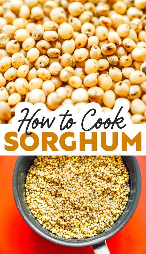 Everything you need to know about cooking sorghum, including where to buy it, varieties, storage, and how to cook sorghum perfectly! #ancientgrain #glutenfree #vegan #vegetarian Sorghum Recipes, Plant Paradox Diet, Lectin Free Diet, Cooking Vegetarian, Cooking Grains, Cook Smarts, Vegan Side Dishes, Healthy Grains, Grain Foods