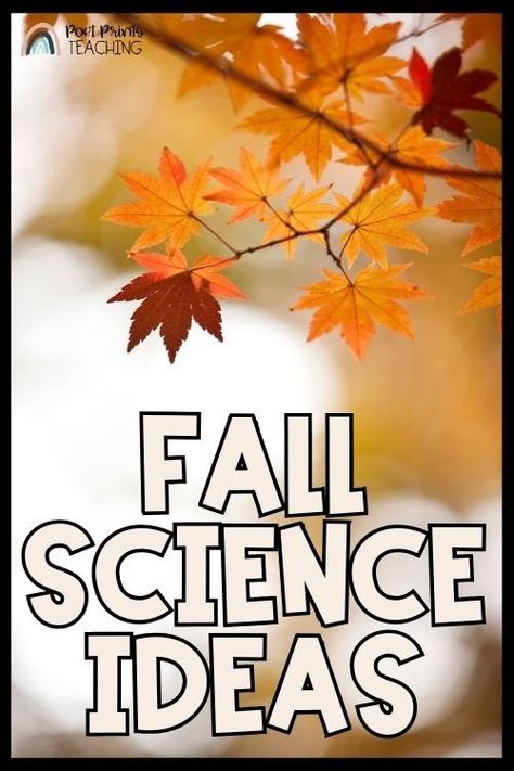 Fall Science Ideas and Activities for 2nd and 3rd Grade — Poet Prints Teaching Thermal Energy Activities, Pollination Activities, Third Grade Science Experiments, Third Grade Science Lessons, Challenges Videos, Leaves Activities, 3rd Grade Science Experiments, Leaf Anatomy, Pollination Activity