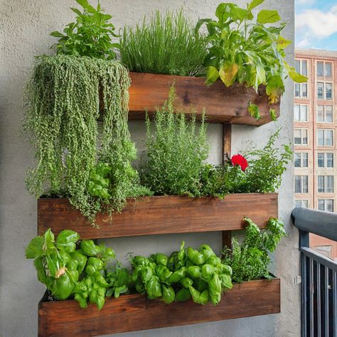 10 Best Small Garden Layout Ideas - DIYCozy: Nails, Decor, DIY, Gardening, Holidays Small Herb Garden Ideas Outdoors, Small Garden Design Ideas Layout, Small Garden Layout Ideas, Balcony Vegetable Garden, Apartment Vegetable Garden, Fast Growing Privacy Shrubs, Balcony Herb Gardens, Herb Garden Wall, Small Garden Layout