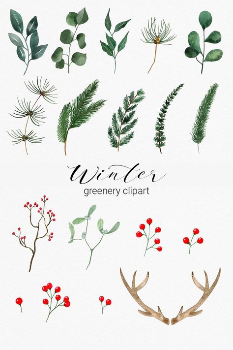 Winter Tree Drawing, Winter Tattoo, Winter Poster, Winter Florals, Winter Greenery, Watercolor Winter, Winter Bouquet, Winter Watercolor, Pine Branches