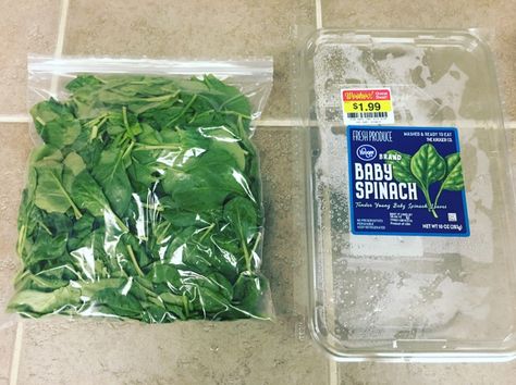 How To Freeze Spinach The Easy Way - Eating Healthy Spending Less Freezing Spinach, Freeze Spinach, Bacon Zucchini, Freezing Vegetables, Frozen Lemon, Zucchini Boats, Lemon Slices, Fresh Spinach, Frozen Spinach