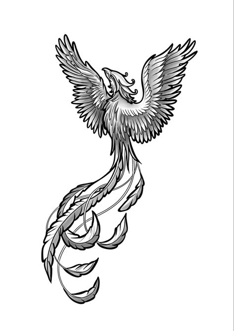 Phoenix Tattoo Old School, Pheonix Tattoo Stencils, Phoenix Neck Tattoo, Mythology Drawings, Feniks Tattoo, Phoenix Tattoo Men, Tatuaje Studio Ghibli, Tattoo Chart, Fenix Tattoo