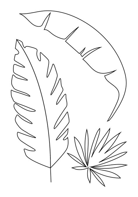 Coconut Tree Template, Palm Leaf Drawing, Palm Tree Stencil, Coconut Tree Drawing, Palm Tree Sketch, Leaf Template Printable, Stencil Drawing, Palm Tree Drawing, Leaves Sketch