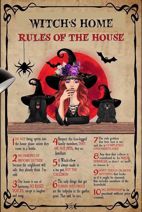 Rules of the House Witchery Green Witch Kitchen Vintage Retro Styled Metal Sign for Coven or Home Decor Magical Paganism Asatru Wiccan Gift - Etsy Cinnamon Boil For Money, Witch Aesthetic Living Room, Cottage Core Witch Aesthetic, Kitchen Witch Aesthetic, Green Witch Kitchen, Wicca Crafts, Rules Of The House, Home Rules, Witch's Kitchen