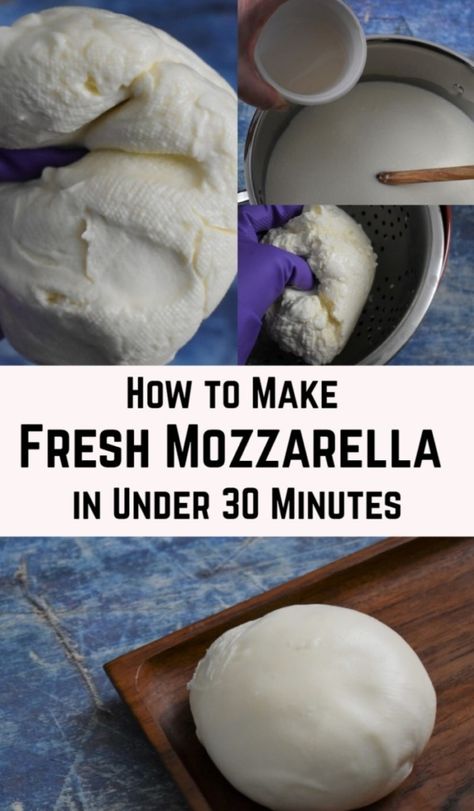 Easy Homemade Mozzarella, Make Fresh Mozzarella, Cheese Recipes Homemade, Homemade Mozzarella, Cheese Making Recipes, Homemade Cheese, Think Food, Milk Recipes, Fresh Mozzarella