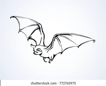 Bat Line Drawing, Bat Pics, Draw A Bat, Bat Images, Mum Tattoo, Ghost Drawing, Symbol Drawing, Bat Art, Creepy Drawings