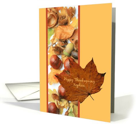 nephew foliage border thanksgiving card Foliage Border, Spanish Thanksgiving, Fall Cards Handmade, Thanksgiving Cards Handmade, Family Holiday Cards, Thanksgiving Greeting Cards, Thanksgiving Card, Thanksgiving Greetings, Holiday Design Card