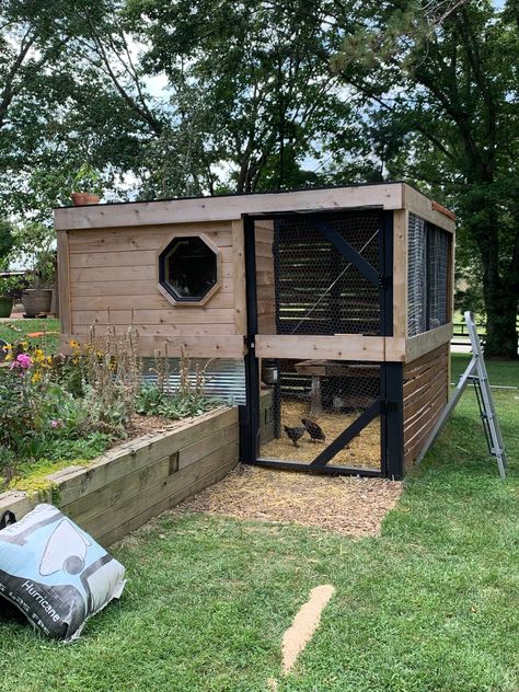 Unique Chicken Coop Designs, Duck Cage Ideas Outdoor, Chicken Coop Modern Design, Low Profile Chicken Coop, Small Space Chicken Coop, Chicken Coop Modern, Covered Chicken Run Ideas, Chicken House Ideas Diy, Chicken Shed Ideas