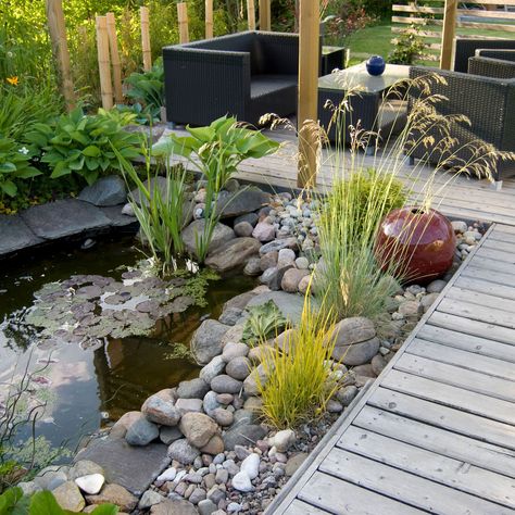 Shallow Pond Ideas, Contemporary Pond Design, Modern Pond Ideas, Wildlife Pond Ideas, Potted Pond, Modern Ponds, Patio Pond Ideas, Raised Pond Ideas, Square Pond