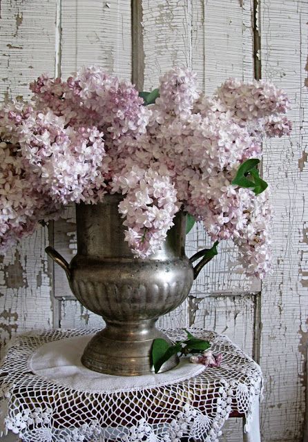 Lilacs & Silver Dark Shabby Chic, Vasos Vintage, Italian Flowers, Champagne Bucket, Silver Vase, Silver Decor, Deco Floral, Shabby Vintage, Beautiful Blooms