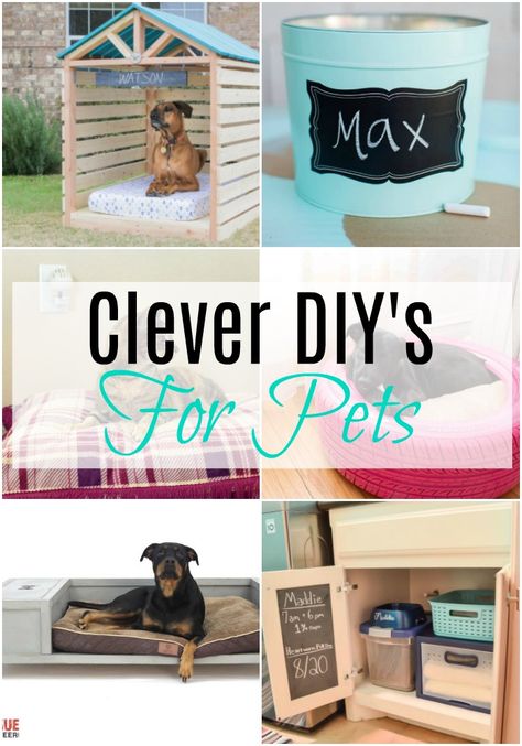 Pet Diy Projects, Diy Pet Bed, Dogs Diy Projects, Diy Dog Toys, Pet Organization, Dog Projects, Dog Crafts, Pets Dogs, Dog Items