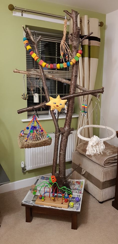 African Grey Play Stand Bird Stand Ideas, Parrot Play Area, Bird Play Stand, Diy Bird Play Stand, Parrot Play Stand Diy, Diy Bird Perch Stand, Diy Bird Stand, Diy Parrot Stand, African Grey Parrot Cage Ideas