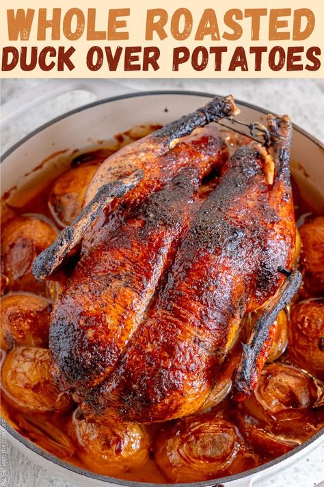 How To Cook A Duck Recipe, Roasted Duck Whole Easy, Whole Duck Recipes Dutch Oven, Dutch Oven Duck, Stuffed Duck Recipes, Whole Duck Recipes Crockpot, Duck Recipes Whole Slow Cooker, Baked Duck Recipes Ovens, Roast Duck Whole