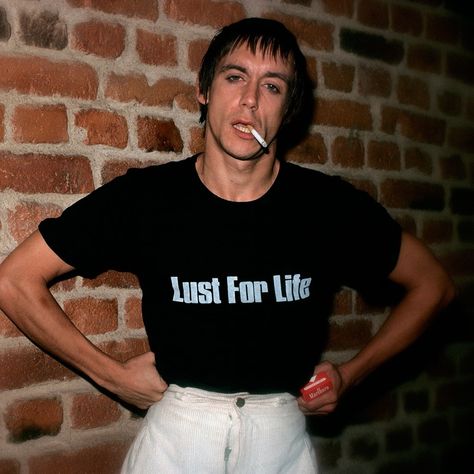 Iggy And The Stooges, Music Genius, The Stooges, Iggy Pop, Music Pics, White Trash, Punk Rocker, Lust For Life, Post Punk