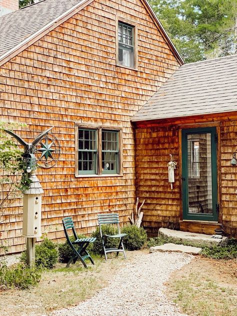 Cedar Shakes are so beautiful and long-lasting wood shingles that are so often seen on coastal homes.If left untreated, they will naturally gray as seen here. If the cedar shakes are not cleaned on a regularly basis (every 3-5 years), mold and mildew will set in over time, which is what happened to our home here in coastal Maine, that we recently inherited from my parents. Before    Cedar Shake Siding Weathered almost 30 years. Cedar Wash Wood Cleaner    We wanted to restore the cedar… Cedar Shingle Siding, Cedar Shake Siding, Shingle House, Shake Shingle, Cedar Shake, Shake Siding, Cedar Shakes, Wood Cleaner, House Trim