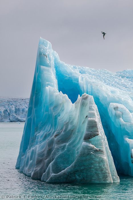 Norway Snow, Svalbard Norway, Nordland, Snow Queen, Icy Blue, Land Art, Over It, Scandinavia, Amazing Nature