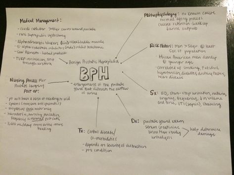 Benign prostatic hyperplasia BPH #nursing Bph Nursing, Pathophysiology Notes, Concept Map Nursing, Notes Nursing, Concept Maps, Thinking Map, Nursing Classes, Nursing 101, Brain Book