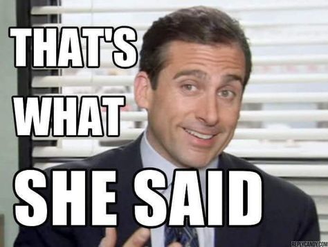 Thats What She Said, Michael Scott The Office, What Meme, Special Needs Teacher, Office Memes, Michael Scott, Science Fiction Tv, Movie Genres, She Said