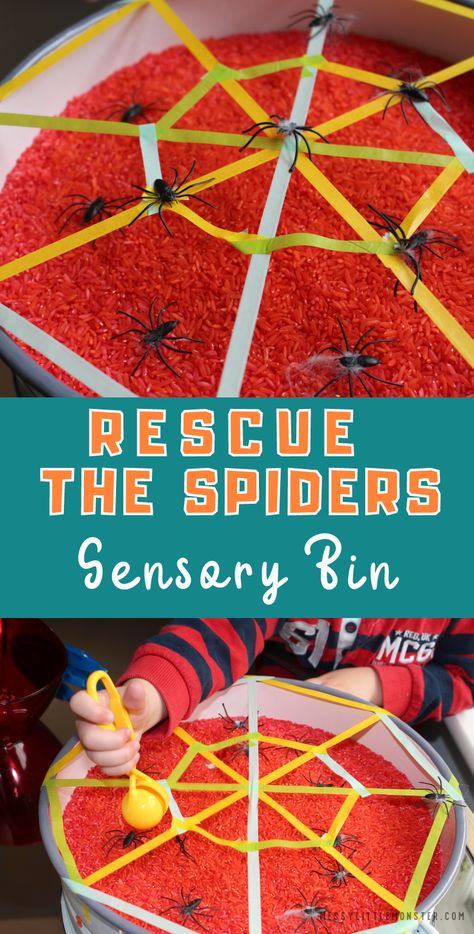 Bats And Spiders Sensory Bin, Halloween Sensory Table Preschool, Preschool Spider Theme, Spider Activities For Toddlers, Preschool Spider Crafts, Spider Activities For Kids, Spider Sensory Bin, Spider Crafts For Toddlers, Spider Activities For Preschool