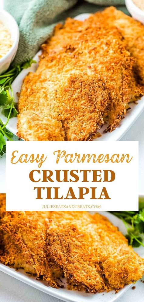 Healthiest Proteins, Tilapia Recipes Easy, Baked Tilapia Recipes, Parmesan Crusted Tilapia, Tilapia Recipe, Crusted Tilapia, Baked Tilapia, Fish Dinner Recipes, Tilapia Recipes