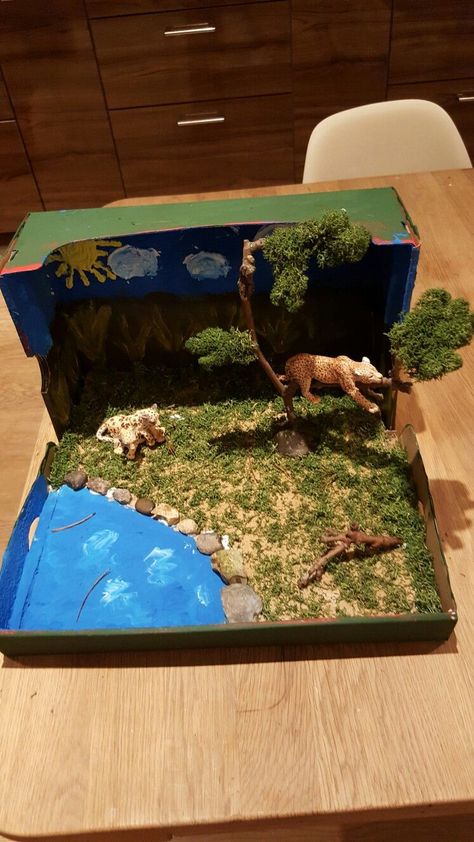 Desert Biome Box Biomes Project, Rainforest Project, Tiger Habitat, Diorama Kids, Bear Habitat, Grassland Habitat, Desert Biome, Habitats Projects, Rainforest Habitat