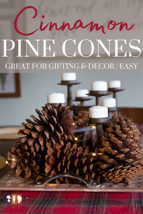 Nothing smells quite like the holidays than the warm scent of cinnamon. And if you've been to a home decor store lately, then chances are you've seen cinnamon scented pine cones or brooms. These take Scented Pine Cones, Cinnamon Broom, Diy Cinnamon, Scented Pinecones, Cinnamon Bark Essential Oil, Pinecone Crafts Christmas, Mini Pine Cones, Dried Orange Peel, Diy Scent