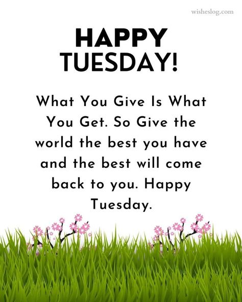 Happy Tuesday! Show the world your best today! 🌞 Thoughtful Tuesday, Tuesday Thoughts, Tuesday Quotes Motivational Inspiration, Tuesday Vibes, Tasty Tuesday, Tuesday Motivation Inspiration Wisdom, Happy Tuesday Quotes Inspiration, Tuesday Motivation Quotes, Tuesday Pictures